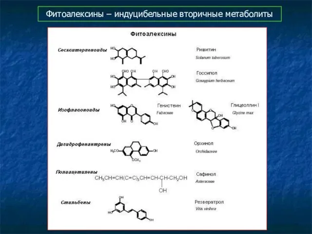 Фитоалексины – индуцибельные вторичные метаболиты