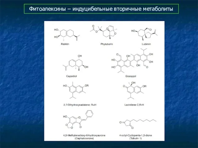 Фитоалексины – индуцибельные вторичные метаболиты