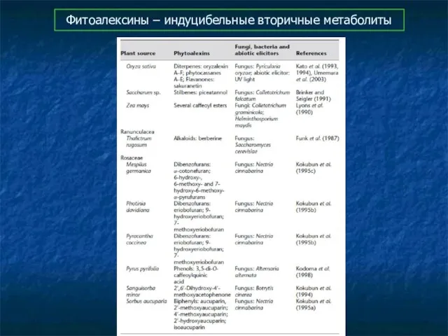 Фитоалексины – индуцибельные вторичные метаболиты