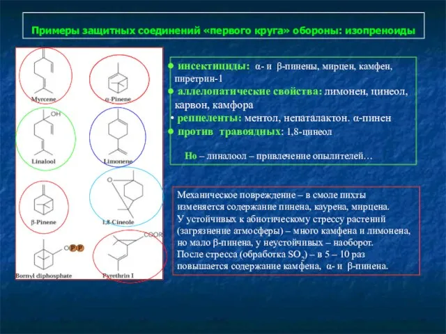 Примеры защитных соединений «первого круга» обороны: изопреноиды инсектициды: α- и β-пинены,
