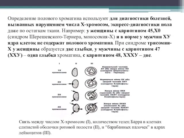 Определение полового хроматина используют для диагностики болезней, вызванных нарушением числа Х-хромосом,