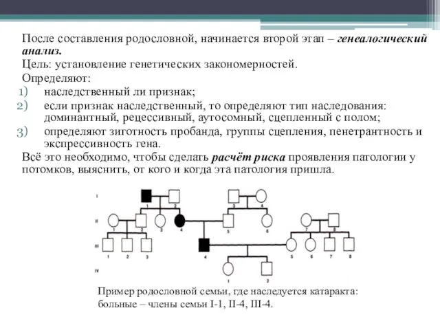 После составления родословной, начинается второй этап – генеалогический анализ. Цель: установление