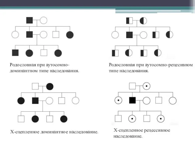 Родословная при аутосомно-доминантном типе наследования. Родословная при аутосомно-рецесивном типе наследования. Х-сцепленное доминантное наследование. Х-сцепленное рецессивное наследование.