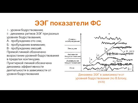 I - уровни бодрствования; II - динамика ритмов ЭЭГ при разных