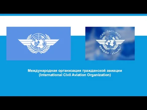 Международная организация гражданской авиации (International Civil Aviation Organization)