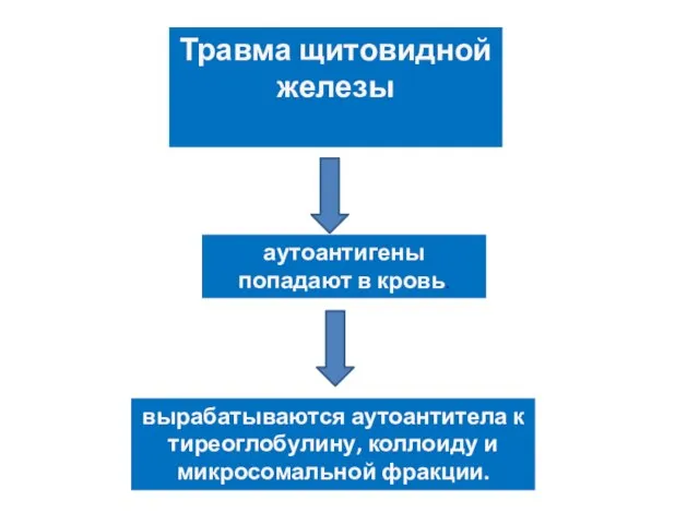 Травма щитовидной железы аутоантигены попадают в кровь. вырабатываются аутоантитела к тиреоглобулину, коллоиду и микросомальной фракции.