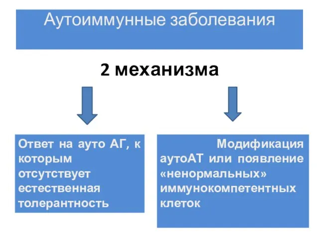 Аутоиммунные заболевания 2 механизма Ответ на ауто АГ, к которым отсутствует