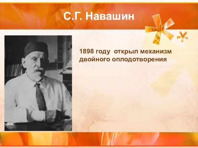 С.Г. Навашин 1898 году открыл механизм двойного оплодотворения