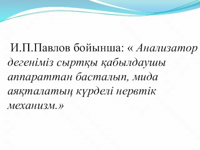 И.П.Павлов бойынша: « Анализатор дегеніміз сыртқы қабылдаушы аппараттан басталып, мида аяқталатың күрделі нервтік механизм.»