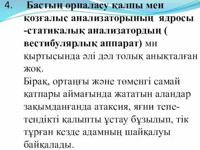 Бастың орналасу қалпы мен қозғалыс анализаторының ядросы -статикалық анализатордың ( вестибулярлық