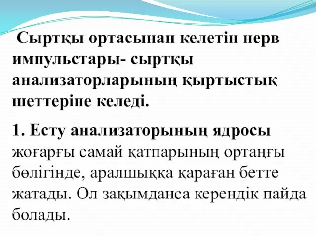 Сыртқы ортасынан келетін нерв импульстары- сыртқы анализаторларының қыртыстық шеттеріне келеді. 1.