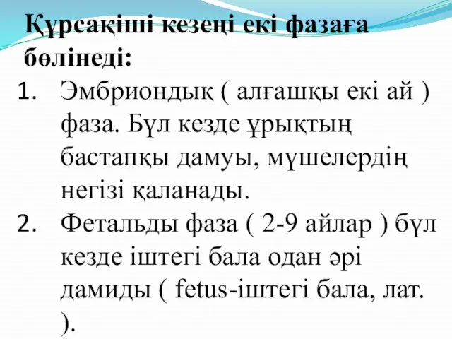 Құрсақіші кезеңі екі фазаға бөлінеді: Эмбриондық ( алғашқы екі ай )