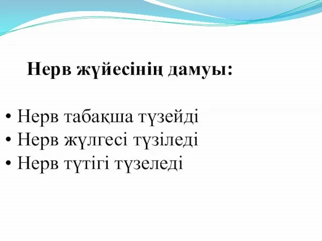 Нерв жүйесінің дамуы: Нерв табақша түзейді Нерв жүлгесі түзіледі Нерв түтігі түзеледі