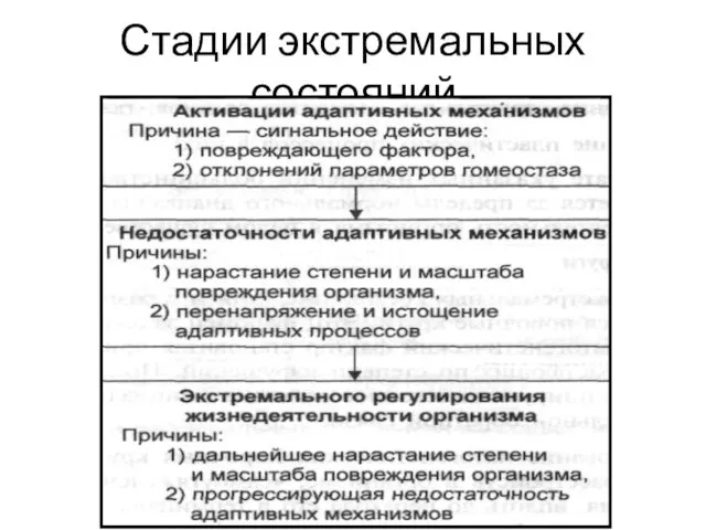 Стадии экстремальных состояний