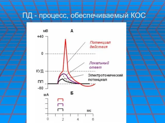 ПД - процесс, обеспечиваемый КОС