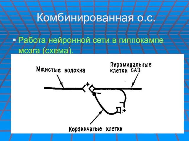 Комбинированная о.с. Работа нейронной сети в гиппокампе мозга (схема).