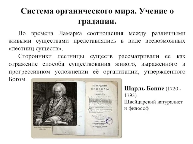 Система органического мира. Учение о градации. Во времена Ламарка соотношения между