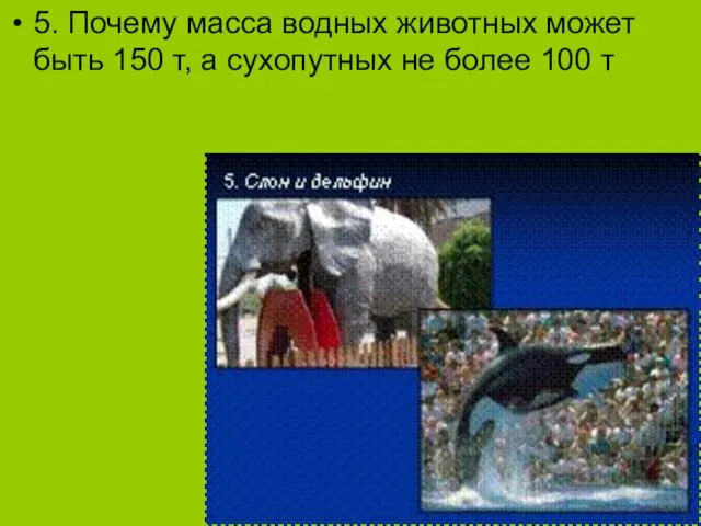 5. Почему масса водных животных может быть 150 т, а сухопутных не более 100 т