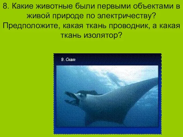 8. Какие животные были первыми объектами в живой природе по электричеству?