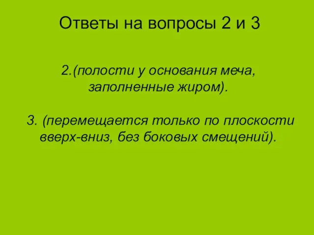 Ответы на вопросы 2 и 3 2.(полости у основания меча, заполненные