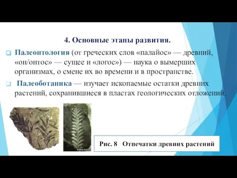 4. Основные этапы развития. Палеонтология (от греческих слов «палайос» — древний,