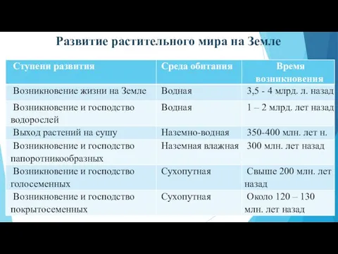 Развитие растительного мира на Земле