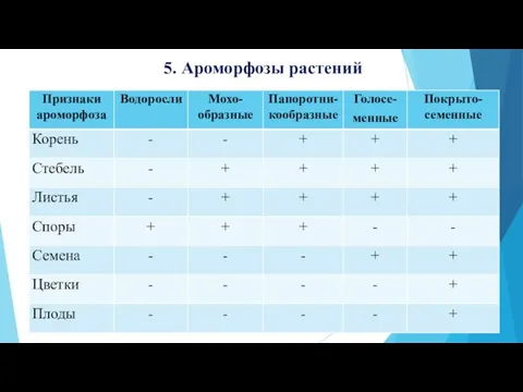 5. Ароморфозы растений