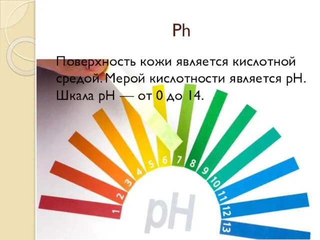Ph Поверхность кожи является кислотной средой. Мерой кислотности является pH. Шкала