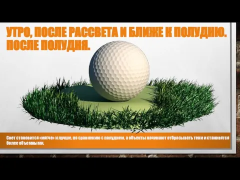 УТРО, ПОСЛЕ РАССВЕТА И БЛИЖЕ К ПОЛУДНЮ. ПОСЛЕ ПОЛУДНЯ. Свет становится