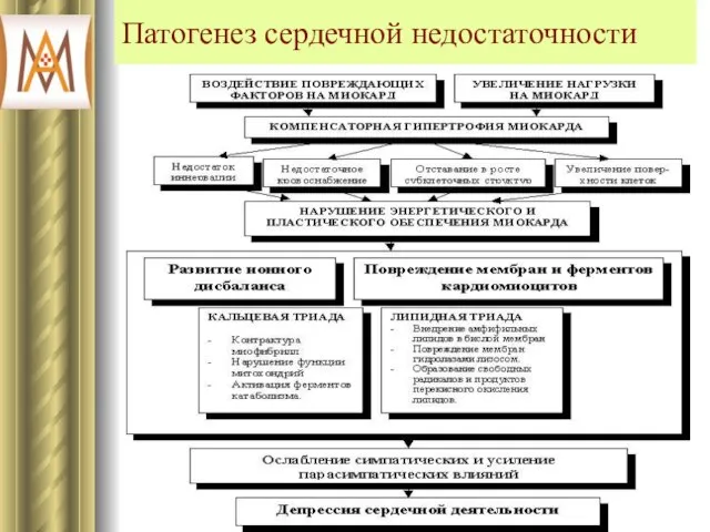 Патогенез сердечной недостаточности