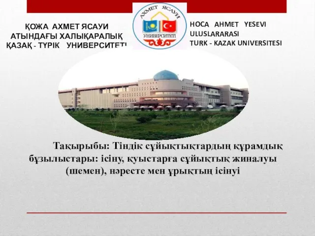 ҚОЖА АХМЕТ ЯСАУИ АТЫНДАҒЫ ХАЛЫҚАРАЛЫҚ ҚАЗАҚ - ТҮРІК УНИВЕРСИТЕТІ HOCA AHMET