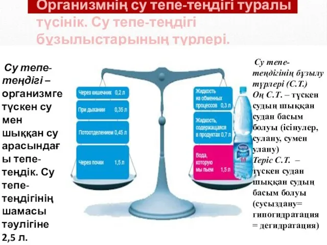 Организмнің су тепе-теңдігі туралы түсінік. Су тепе-теңдігі бұзылыстарының түрлері. Су тепе-теңдігінің