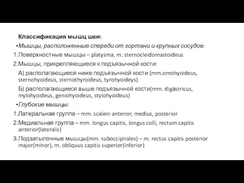 Классификация мышц шеи: Мышцы, расположенные спереди от гортани и крупных сосудов: