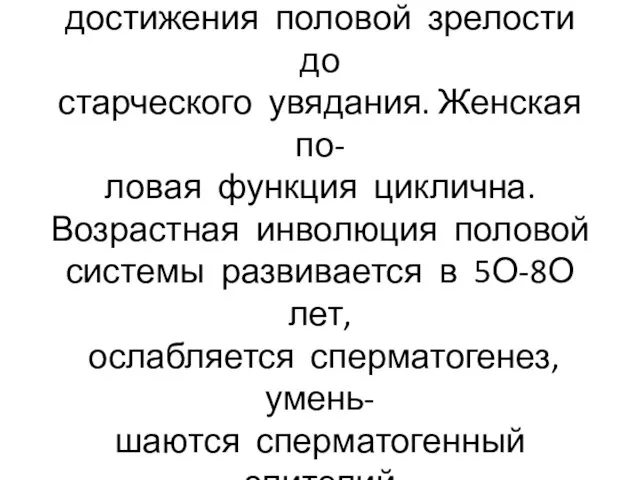 Мужская половая функция осущест- вляется непрерывно с момента достижения половой зрелости