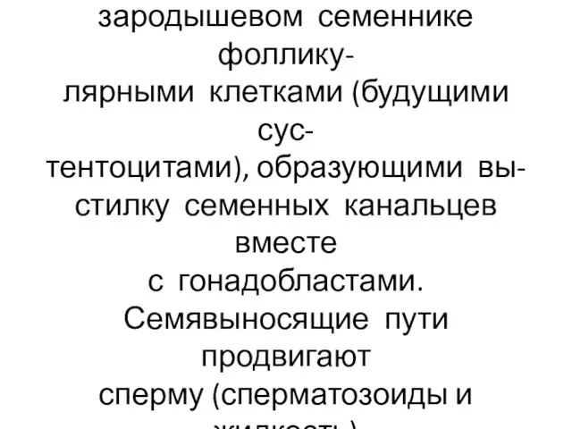 Ингибин (первичный мужской по- ловой гормон) продуцируется в зародышевом семеннике фоллику-