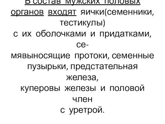 В состав мужских половых органов входят яички(семенники,тестикулы) с их оболочками и