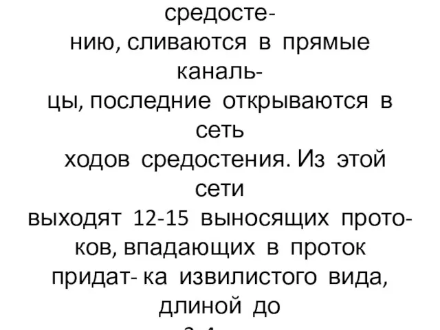 Дольковые канальцы ( 3ОО-45О в каждом яичке),подходя к средосте- нию, сливаются