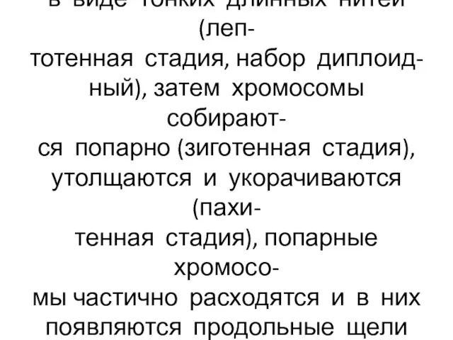 В клетках появляются хромосомы в виде тонких длинных нитей(леп- тотенная стадия,