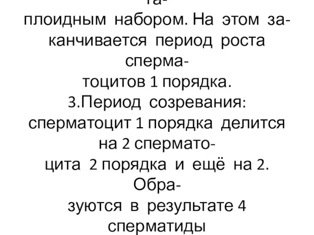 Затем образуются тетрады из 2 конъюгированных хромосом с га- плоидным набором.