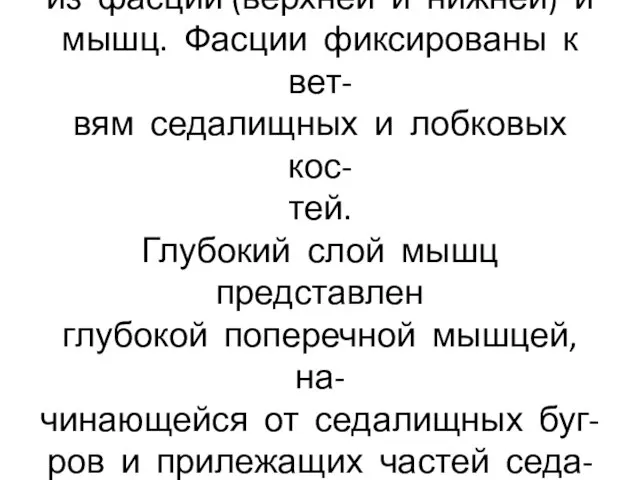 Урогенитальная диафрагма состоит из фасций (верхней и нижней) и мышц. Фасции