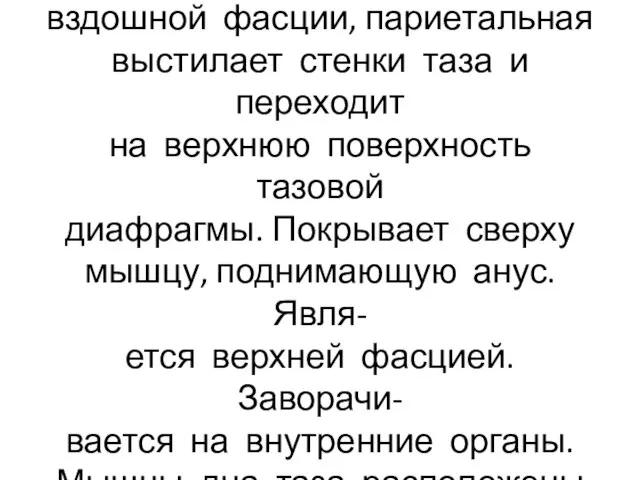 Тазовая фасция-продолжение под- вздошной фасции, париетальная выстилает стенки таза и переходит