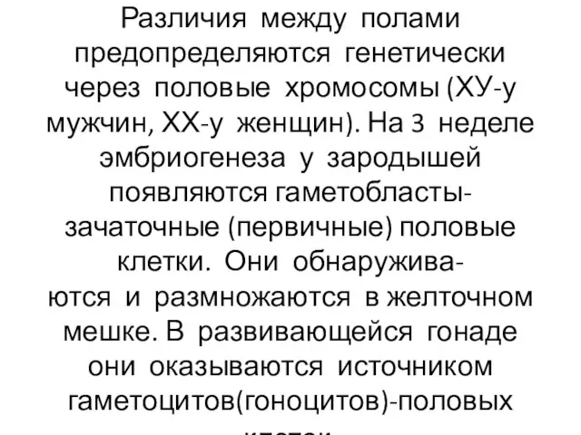 Различия между полами предопределяются генетически через половые хромосомы (ХУ-у мужчин, ХХ-у