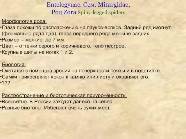 Морфология рода: Глаза похожи по расположению на пауков-волков. Задний ряд изогнут