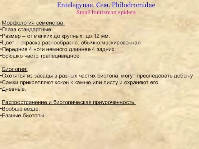 Морфология семейства: Глаза стандартные. Размер – от мелких до крупных, до