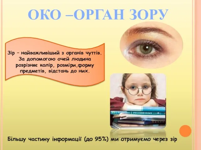 ОКО –ОРГАН ЗОРУ Зір – найважливіший з органів чуттів. За допомогою