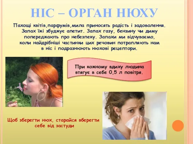 НІС – ОРГАН НЮХУ Пахощі квітів,парфумів,мила приносять радість і задоволення. Запах