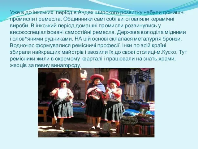 Уже в до інкських період в Андах широкого розвитку набули домашні