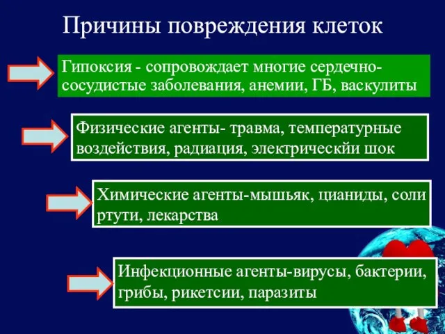 Причины повреждения клеток Гипоксия - сопровождает многие сердечно-сосудистые заболевания, анемии, ГБ,