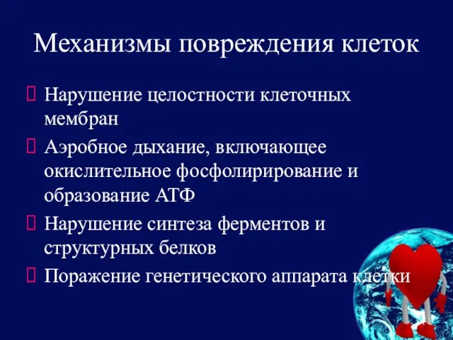 Механизмы повреждения клеток Нарушение целостности клеточных мембран Аэробное дыхание, включающее окислительное