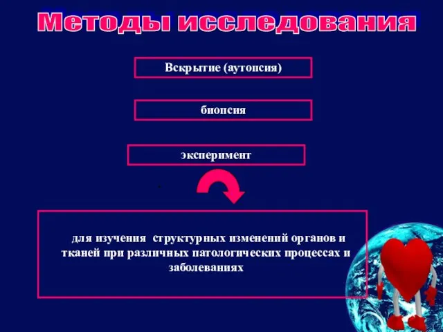 Вскрытие (аутопсия) биопсия эксперимент Методы исследования для изучения структурных изменений органов